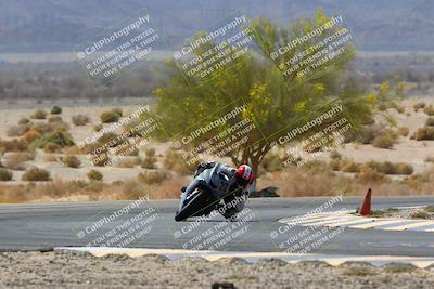 media/Apr-10-2022-SoCal Trackdays (Sun) [[f104b12566]]/Turn 5 Tree of Life (1040am)/